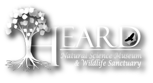 Heard Natural Science Museum & Wildlife Sanctuary